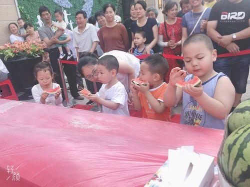 小女孩吃瓜群众壁纸图片,捕捉童真与夏日的完美邂逅