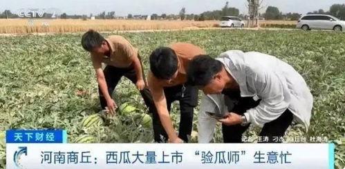 太公湖吃瓜群众事件,一场网络舆论的风暴与反思