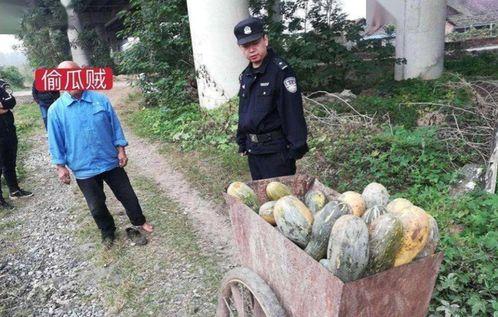 太公湖吃瓜群众事件,一场网络舆论的风暴与反思