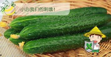 吃瓜群众免费吃瓜套路,吃瓜群众如何轻松享受福利盛宴