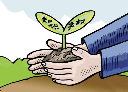 吃瓜群众专利代理,揭秘专利申请背后的故事