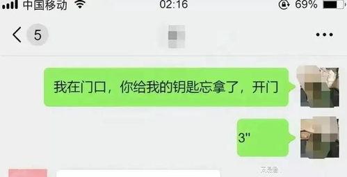 吃瓜群众抓小三聊天记录,一场网络舆论的风暴
