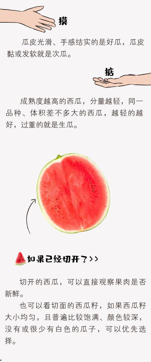 吃瓜群众必备的西瓜知识,吃瓜群众必备的夏日清凉指南