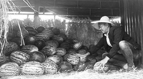 吃瓜群众岱岱 削藩,揭秘削藩背后的历史风云