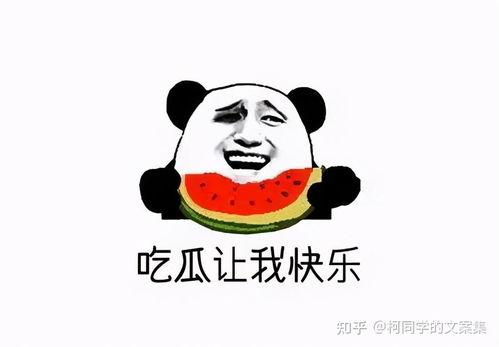 没有文案吃瓜群众怎么办,吃瓜群众如何自娱自乐?