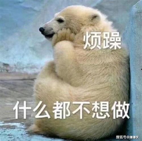 路边搞笑吃瓜群众图片,围观群众搞笑吃瓜瞬间