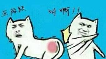 吃瓜群众忙得不亦乐乎怎么回复,热议事件背后的全民狂欢