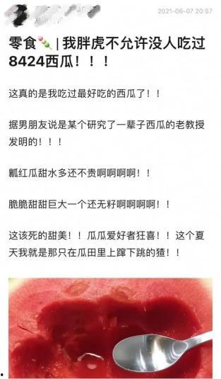 上海 吃瓜群众 被打伤,上海“吃瓜群众”被打伤事件引发社会关注