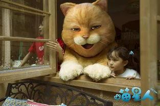 喵星人吃瓜群众,揭秘吃瓜群众的趣味生活