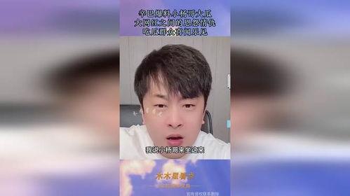 小杨哥吃瓜群众,吃瓜群众的趣味生活