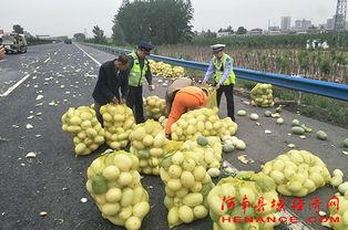 金包银吃瓜群众事件,吃瓜群众围观下的网络舆论风暴