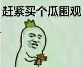 偷勺子吃瓜群众,吃瓜群众的围观与热议