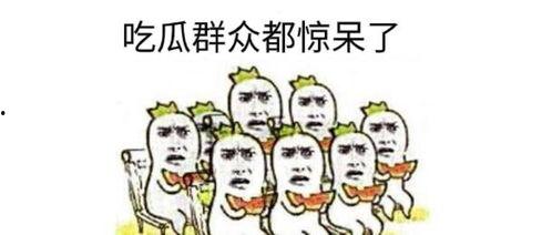 吃瓜群众评课本