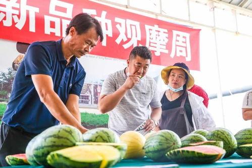 吃瓜群众抖音号郓城,吃瓜群众的趣味生活大揭秘！”