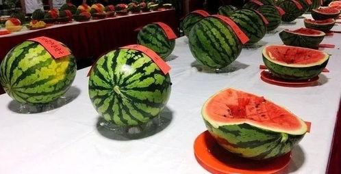 美食村吃瓜群众事件,一场网络舆论的风暴与反思