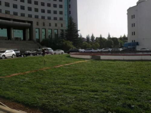 邯郸市永年吃瓜群众,吃瓜群众的夏日生活剪影