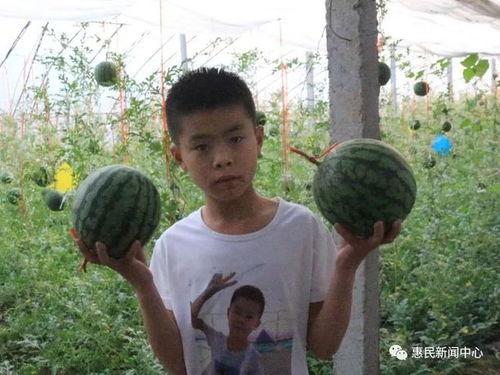 惠民县吃瓜群众案件结果,真相大白，法律公正彰显