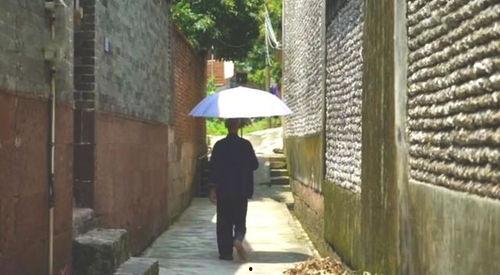 任城区吃瓜群众事件,网络围观背后的社会现象解析