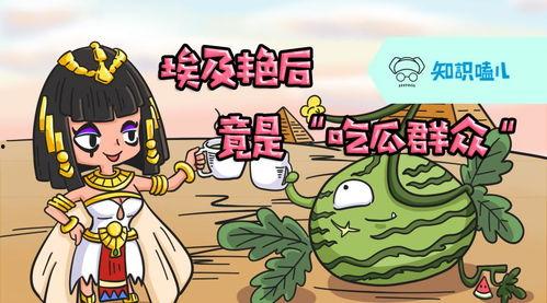 吃瓜群众的知识