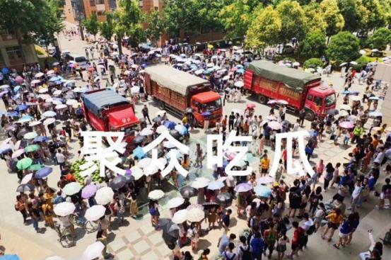 南通大学吃瓜群众图片,趣味横生的校园生活剪影