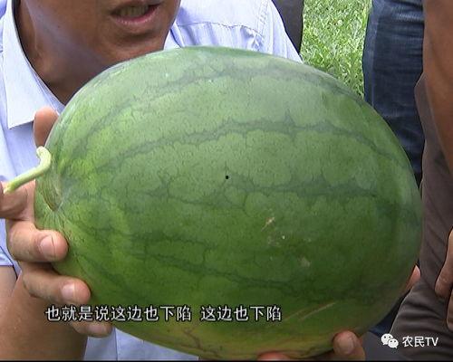 吃瓜群众如何挑西瓜,挑出夏日最佳消暑神器