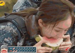 男生回复吃瓜群众,一场关于瓜的欢乐盛宴