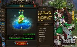 萌宠界的吃瓜群众,揭秘宠物圈的那些事儿