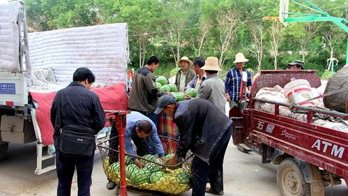 东乡吃瓜群众新闻视频,新闻视频背后的故事与真相